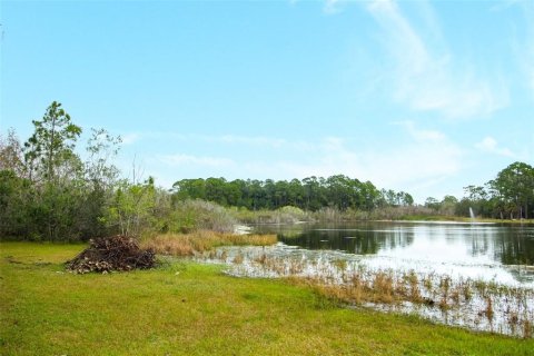 Land in Lake Mary, Florida № 1336414 - photo 7