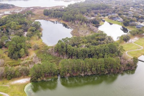 Land in Lake Mary, Florida № 1336414 - photo 6