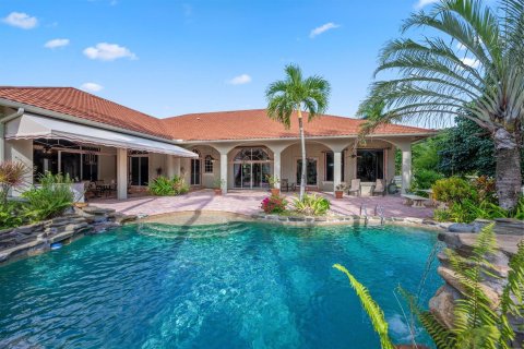 Villa ou maison à vendre à Wellington, Floride: 4 chambres, 794.41 m2 № 925291 - photo 17