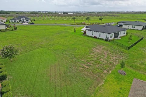 Terrain à vendre à Auburndale, Floride № 1277614 - photo 6