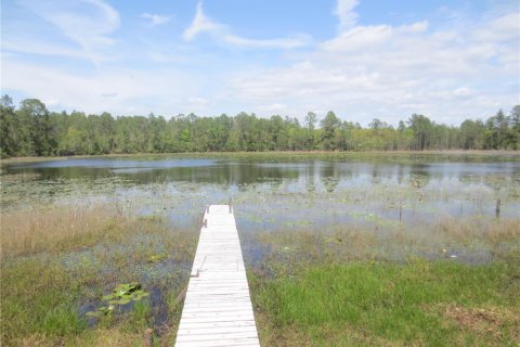 Land in Silver Springs Shores, Florida № 1277586 - photo 10