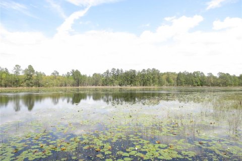 Land in Silver Springs Shores, Florida № 1277586 - photo 17