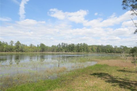 Купить земельный участок в Силвер-Спрингс-Шорс, Флорида № 1277586 - фото 9