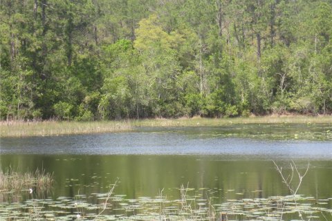 Land in Silver Springs Shores, Florida № 1277586 - photo 13