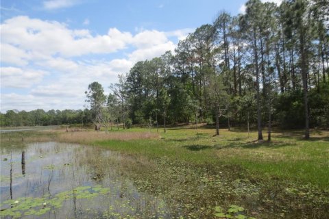 Land in Silver Springs Shores, Florida № 1277586 - photo 24