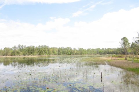 Land in Silver Springs Shores, Florida № 1277586 - photo 18