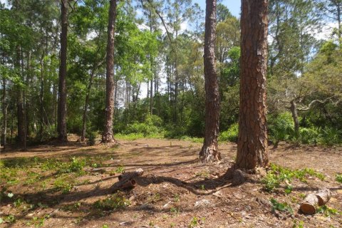 Land in Silver Springs Shores, Florida № 1277586 - photo 28