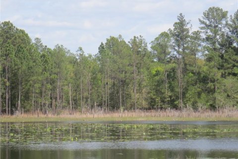 Land in Silver Springs Shores, Florida № 1277586 - photo 16