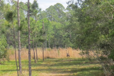 Terrain à vendre à Silver Springs Shores, Floride № 1277586 - photo 6