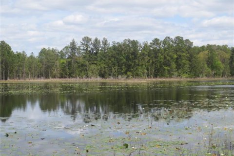 Land in Silver Springs Shores, Florida № 1277586 - photo 19