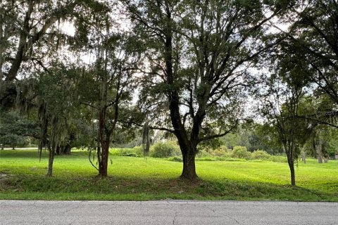 Land in Wesley Chapel, Florida № 1313347 - photo 2