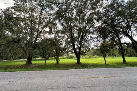 Terreno en venta en Wesley Chapel, Florida № 1313347 - foto 3