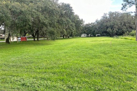 Terreno en venta en Wesley Chapel, Florida № 1313347 - foto 5