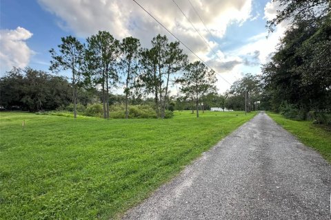 Terreno en venta en Wesley Chapel, Florida № 1313347 - foto 4