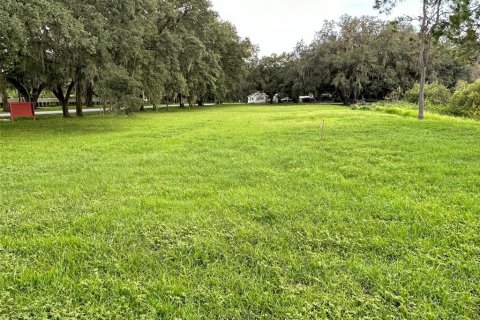 Terreno en venta en Wesley Chapel, Florida № 1313347 - foto 7