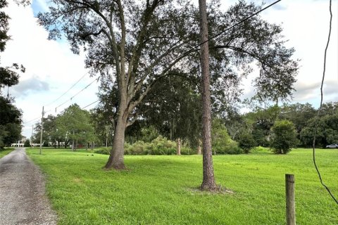 Land in Wesley Chapel, Florida № 1313347 - photo 8