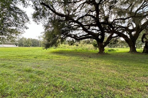 Terreno en venta en Wesley Chapel, Florida № 1313347 - foto 13