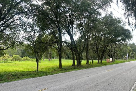 Land in Wesley Chapel, Florida № 1313347 - photo 1