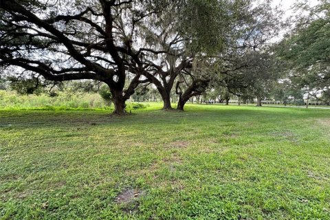 Land in Wesley Chapel, Florida № 1313347 - photo 12