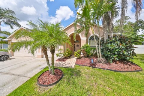 Villa ou maison à vendre à Tampa, Floride: 4 chambres, 203.46 m2 № 1344215 - photo 1