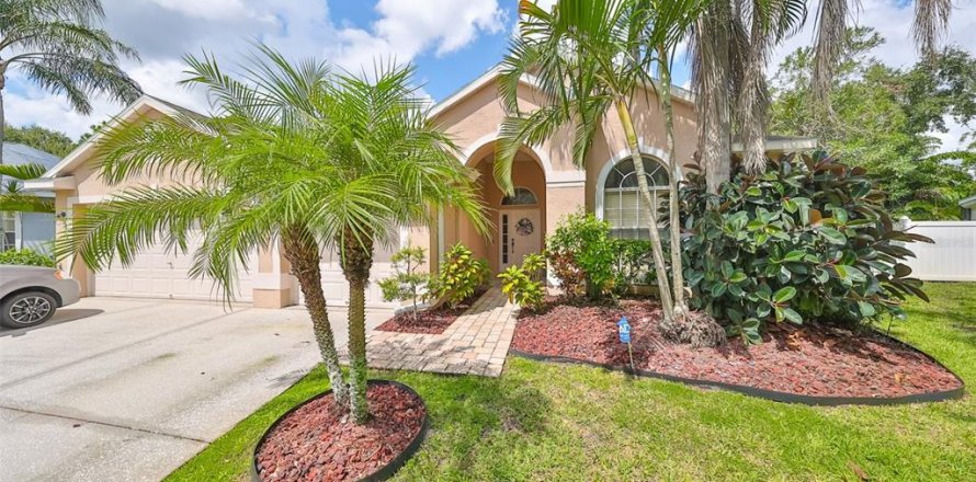 Villa ou maison à Tampa, Floride 4 chambres, 203.46 m2 № 1344215