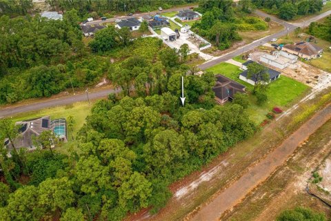 Terrain à vendre à Lehigh Acres, Floride № 1193107 - photo 3