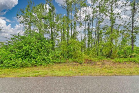 Terrain à vendre à Lehigh Acres, Floride № 1193107 - photo 6