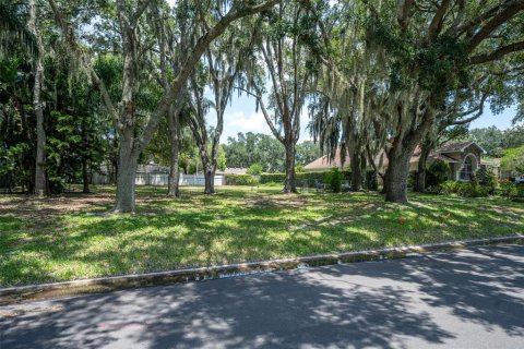 Terrain à vendre à Kissimmee, Floride № 1317693 - photo 4