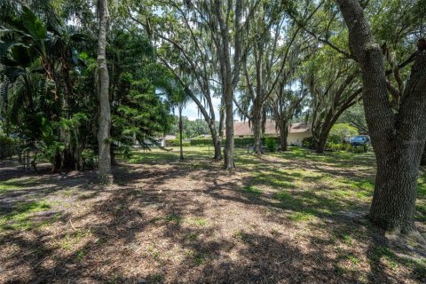 Terreno en venta en Kissimmee, Florida № 1317693 - foto 10