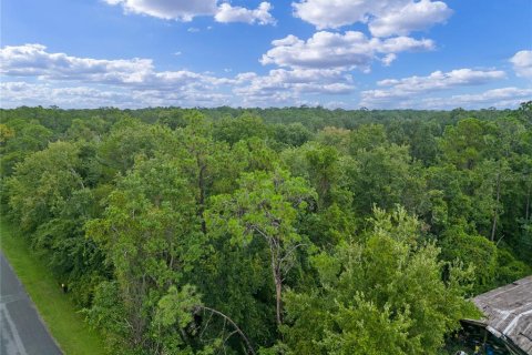 Land in Saint Cloud, Florida № 1343837 - photo 23