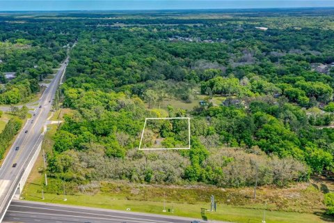 Land in Lake Helen, Florida № 1336846 - photo 11