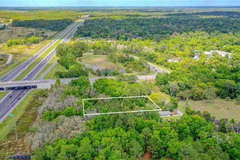 Terreno en venta en Lake Helen, Florida № 1336846 - foto 12