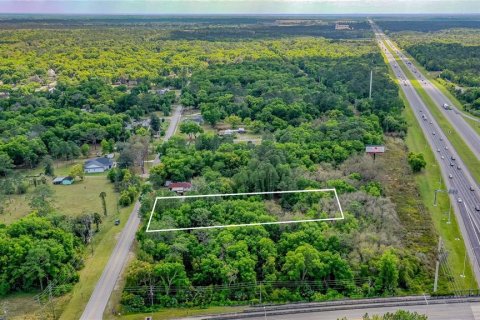 Land in Lake Helen, Florida № 1336846 - photo 10