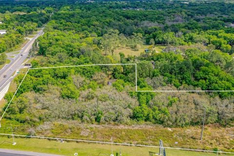 Land in Lake Helen, Florida № 1336846 - photo 17