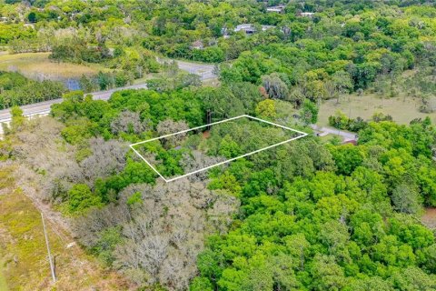 Terreno en venta en Lake Helen, Florida № 1336846 - foto 6