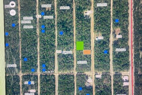 Terreno en venta en Interlachen, Florida № 1298653 - foto 19