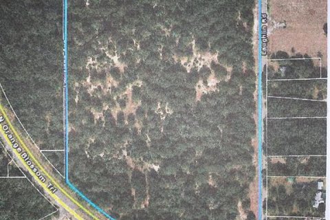 Land in Mount Dora, Florida № 1283077 - photo 1