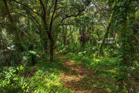 Terreno en venta en Tampa, Florida № 1319440 - foto 3