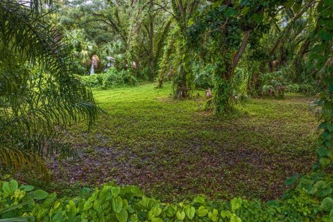 Terreno en venta en Tampa, Florida № 1319440 - foto 11