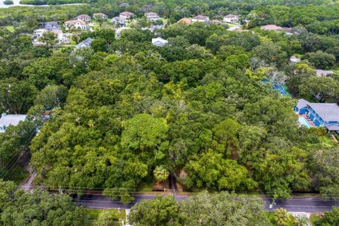 Terreno en venta en Tampa, Florida № 1319440 - foto 5