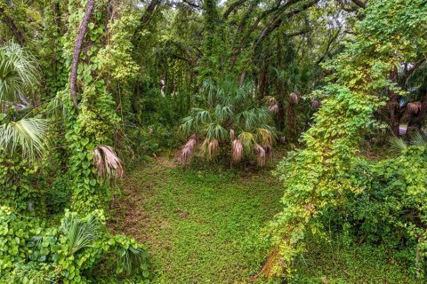 Terreno en venta en Tampa, Florida № 1319440 - foto 7