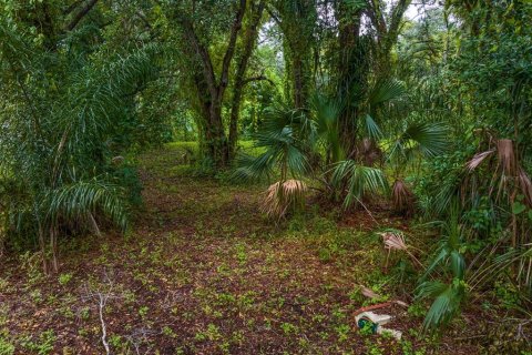 Terreno en venta en Tampa, Florida № 1319440 - foto 9