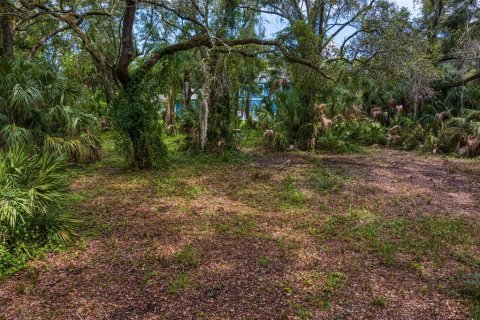 Terreno en venta en Tampa, Florida № 1319440 - foto 15