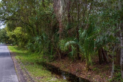 Terreno en venta en Tampa, Florida № 1319440 - foto 13