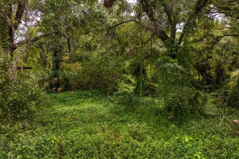 Terreno en venta en Tampa, Florida № 1319440 - foto 14