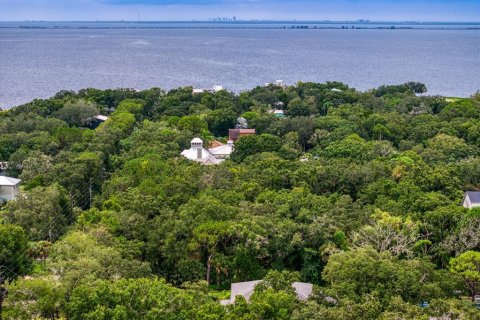 Terreno en venta en Tampa, Florida № 1319440 - foto 24