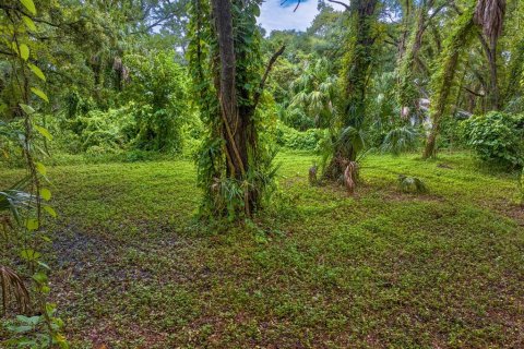 Terreno en venta en Tampa, Florida № 1319440 - foto 10