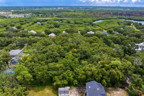 Terreno en venta en Tampa, Florida № 1319440 - foto 26