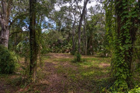 Terreno en venta en Tampa, Florida № 1319440 - foto 16