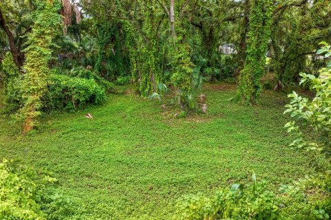 Terreno en venta en Tampa, Florida № 1319440 - foto 12